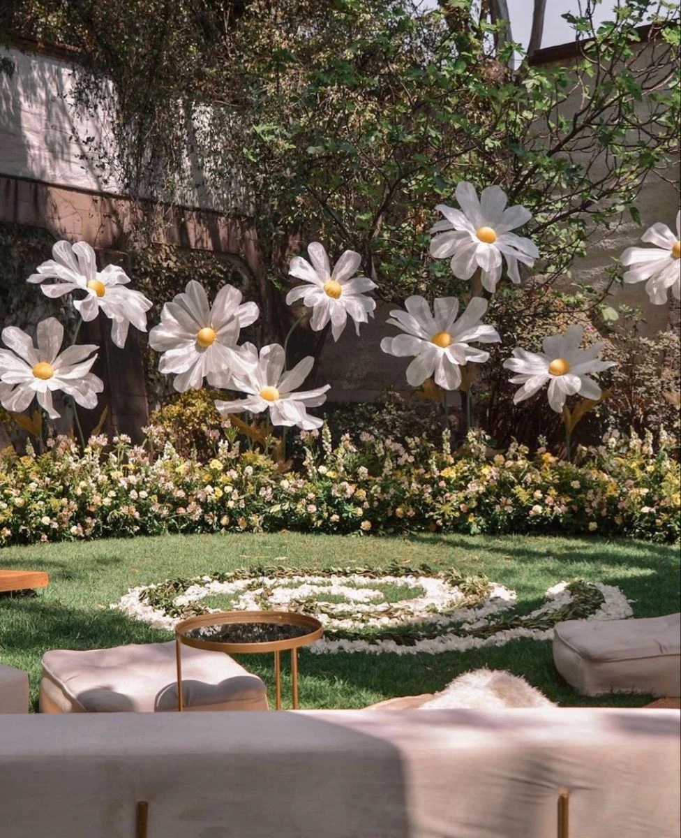 Giant white daisies on stems rising above a border of small garden flowers on a lawn
