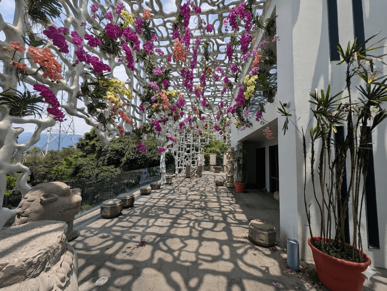 Today: the venue's orchid garlands on the lattice trellis