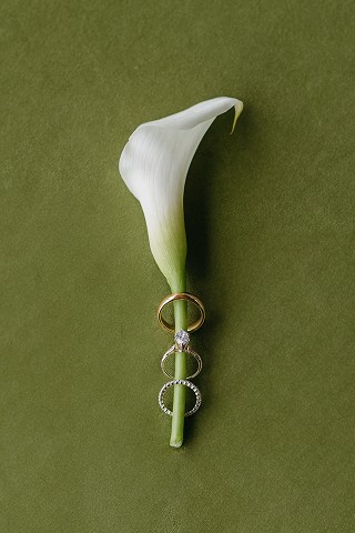 Calla lily with the rings on a green backdrop
