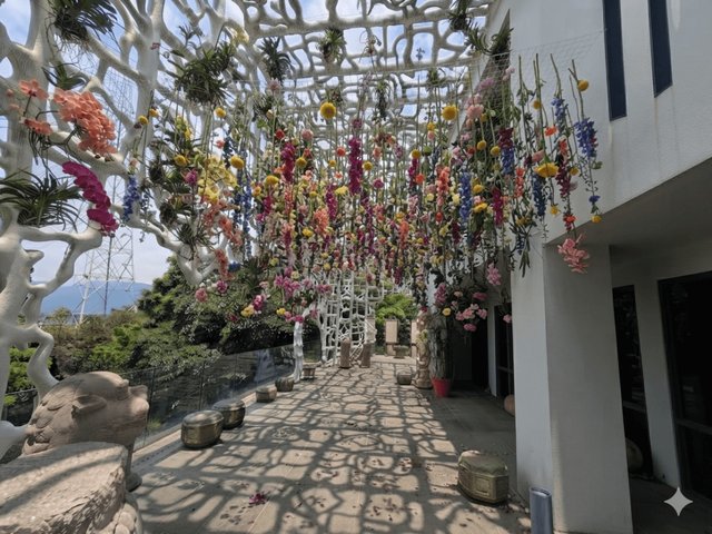 The trellis walkway filled with colourful flowers